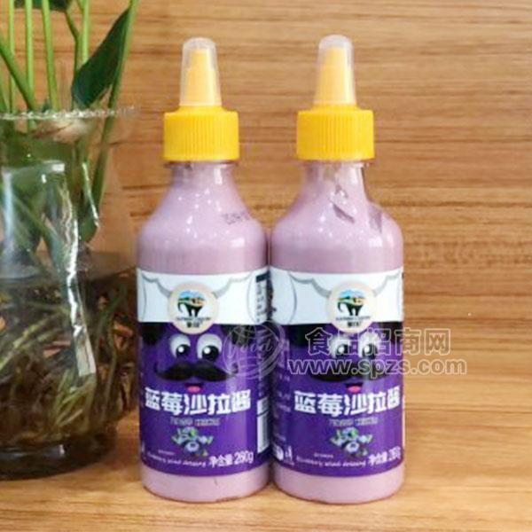 ·象国 蓝莓沙拉酱 调味酱 260g 