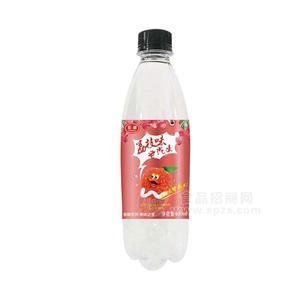 宏標(biāo)荔枝味老汽水碳酸飲料招商600ml