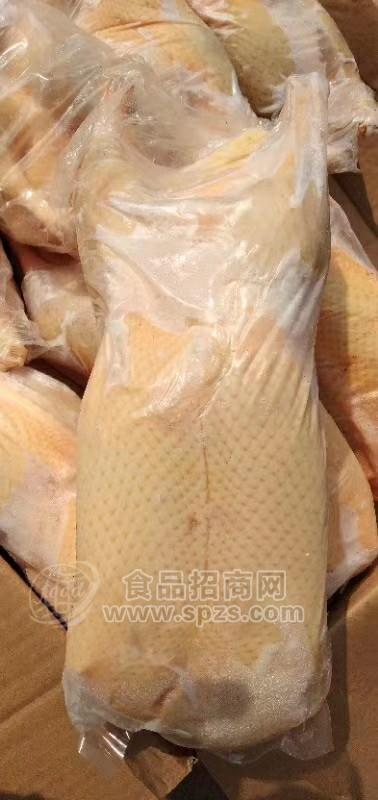 冷冻白条鸭，冷冻黄皮鸭脚，冷冻鸭排等