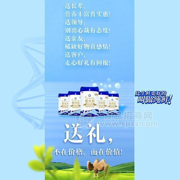 駝大大 全脂乳粉 駱駝奶粉罐裝 招商廠家直銷300g