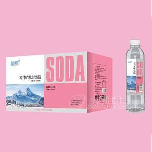 灿有 苏打矿泉水饮品 饮用水500ml x24瓶果味苏打水厂家招商  果味水招商招商