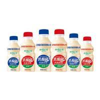 原味 乳酸菌風(fēng)味飲品 乳飲料招商廠家直銷340ml