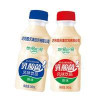 原味 乳酸菌 風(fēng)味飲品乳飲料招商廠家直銷340ml