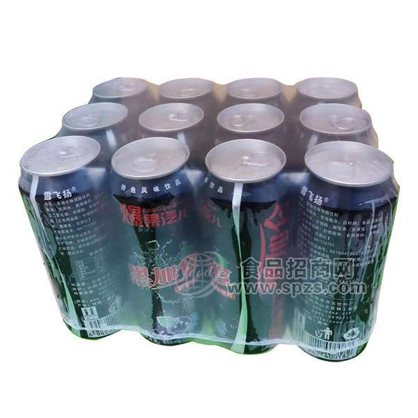 黑加仑碳酸饮料罐装500ml