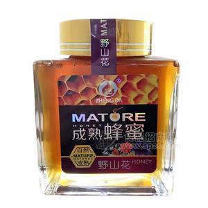 正達(dá)野山花蜂蜜