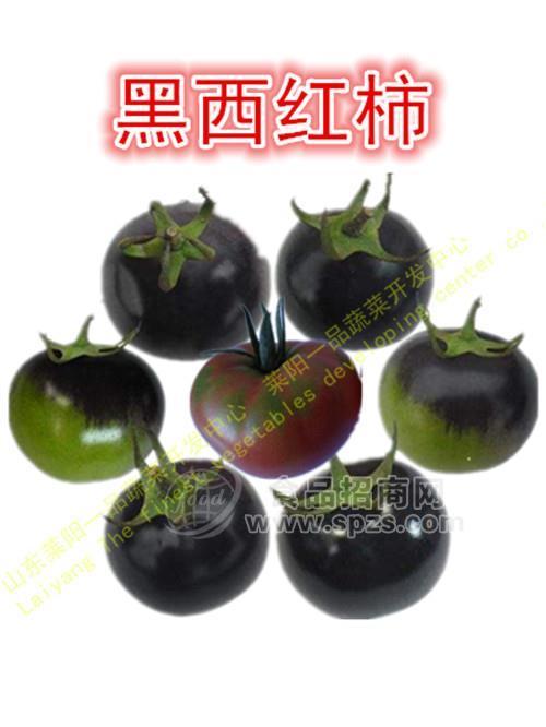 进口黑番茄种子