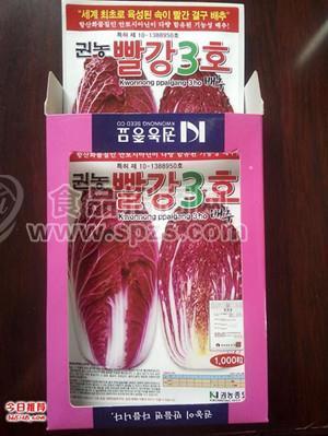 紫白菜种子