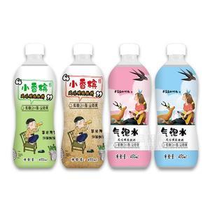 小香檳  氣泡水 風味碳酸飲料 480ml