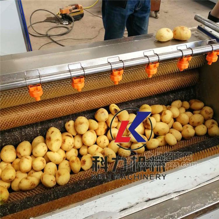土豆去皮清洗机   大产量清洗土豆机   土豆切片切丁机    食堂专用  现货试机