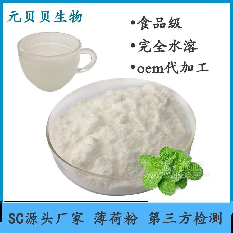 SC厂家直销冰淇淋粉食用凉爽植物提取物薄荷脑粉薄荷提取物薄荷粉