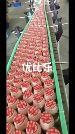 代加工生產(chǎn)乳酸菌、蘇打水