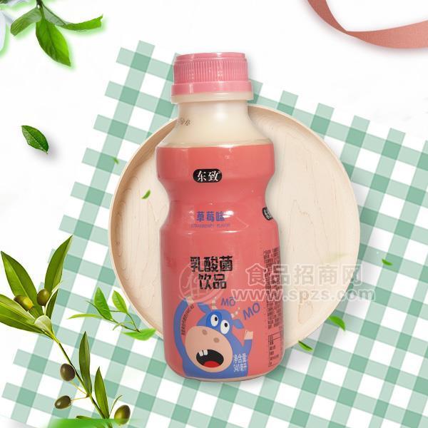 ·东致 草莓味乳酸菌饮品 乳饮料 340ml  