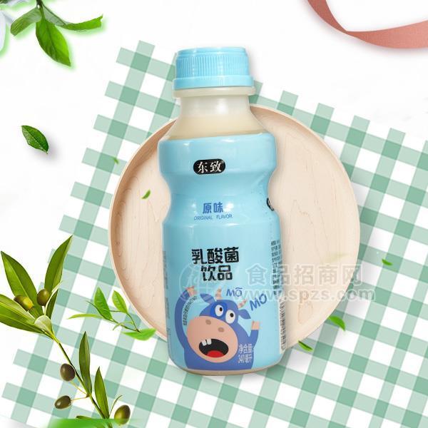 ·东致 原味乳酸菌饮品 乳饮料 340ml  