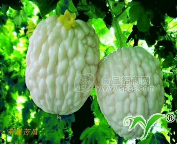 苹果苦瓜种子