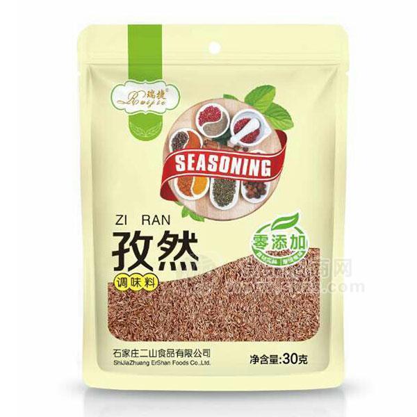 瑞捷孜然 调味品30g