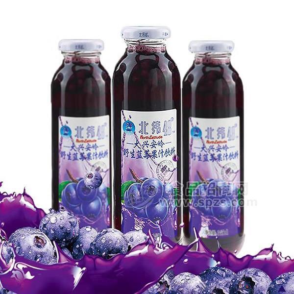 北纬48°野生蓝莓果汁饮料350ml