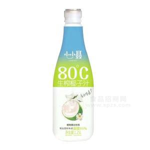 小小聶 生榨椰子汁 植物蛋白飲料招商1.25L