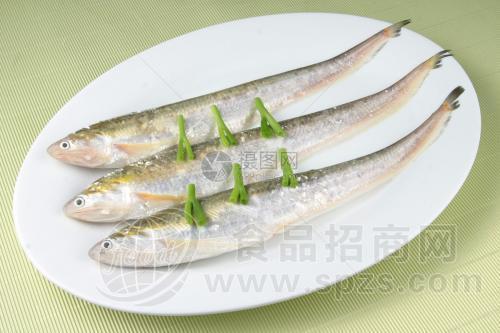 重庆长江刀鱼销售
