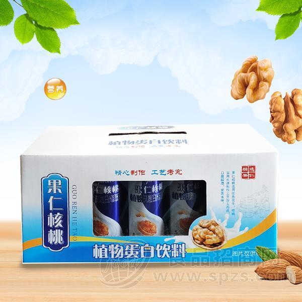 箱装 果仁核桃 植物蛋白饮料  招商
