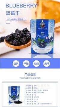进口 蓝莓干
