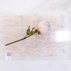 白燕盏 白燕窝 进口食品