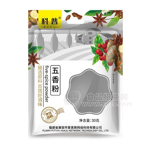 科普 五香粉 调味粉 调味品招商30g