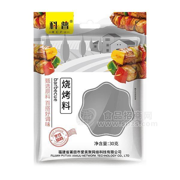 科普 燒烤料 調(diào)味粉 調(diào)味品招商30g