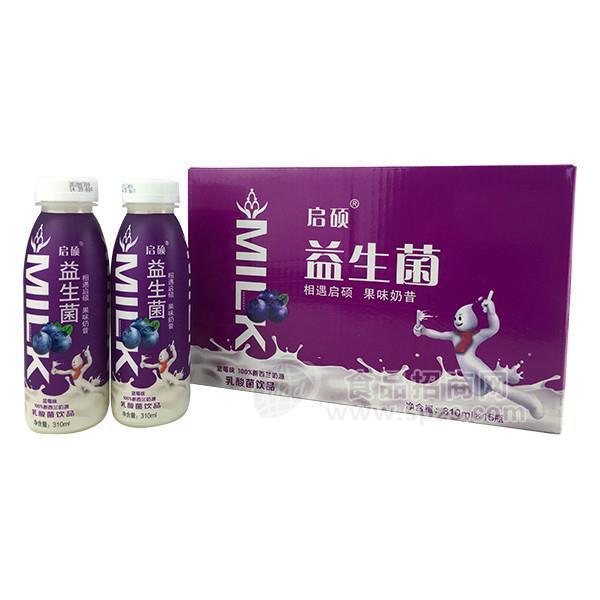 启硕蓝莓奶昔益生菌 乳酸菌饮品310mlx15瓶
