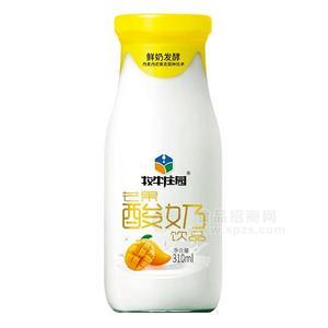 牧牛莊園 芒果酸奶飲品310ml 果味奶