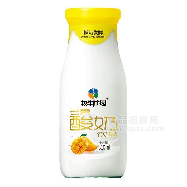·牧牛庄园 芒果酸奶饮品310ml 果味奶 