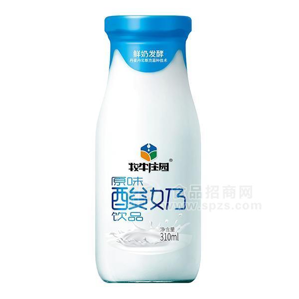 ·牧牛庄园 原味酸奶饮品310ml 玻璃瓶酸奶 餐饮渠道 