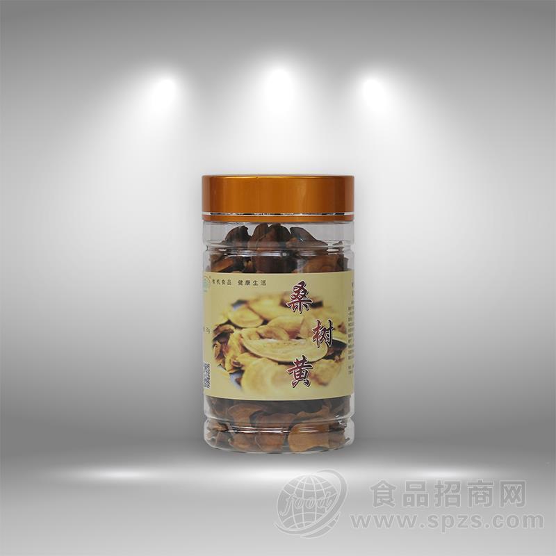 桑黄菌片