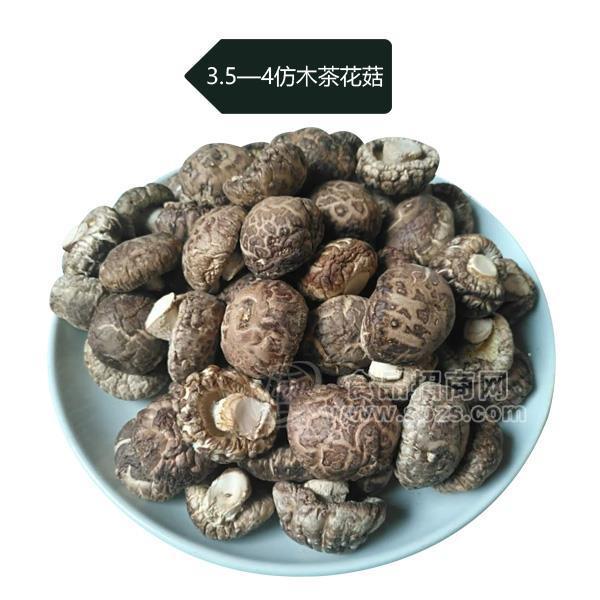 仿木茶花菇 大洪山特产 干鲜食品招商