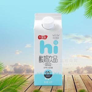 牛加加 酸奶饮品 餐饮奶 生牛乳+益生菌饮料340g