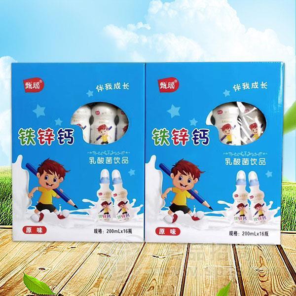 甄瑶 铁锌钙乳酸菌饮品 乳饮料招商200mlx16瓶
