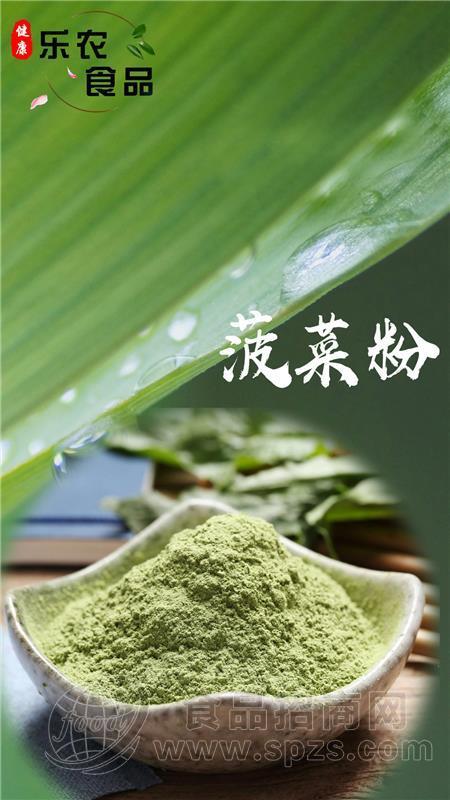 菠菜粉-菠菜粉批发-脱水蔬菜粉厂家直销-山东菠菜粉