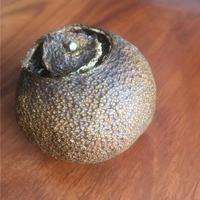 小青柑