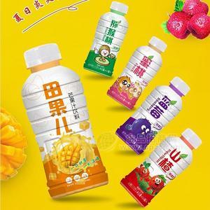 入巷食品 田果兒復(fù)合果汁飲料 果味飲料450mlx15瓶