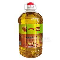 福一生 熟榨花生仁香 食用植物调和油5L