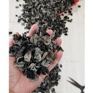 东北黑木耳 干鲜食品招商代理 厂家直销