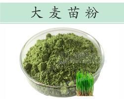 陜西元貝貝生物濃縮無添加水溶大麥苗粉