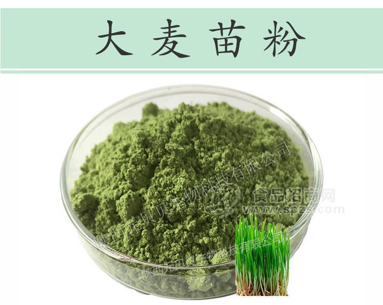 陜西元貝貝生物濃縮無(wú)添加水溶大麥苗粉