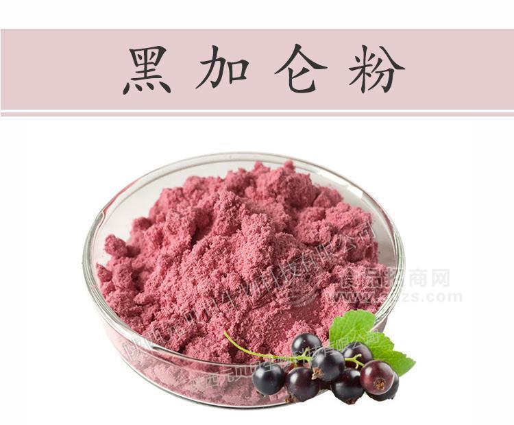 陕西元贝贝生物浓缩无添加黑加仑粉