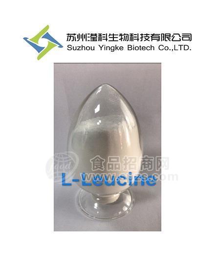 L-亮氨酸厂家直销61-90-5