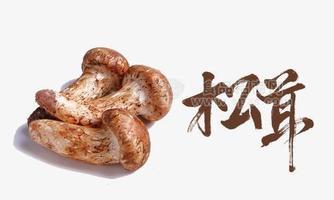松茸香精，松露香精