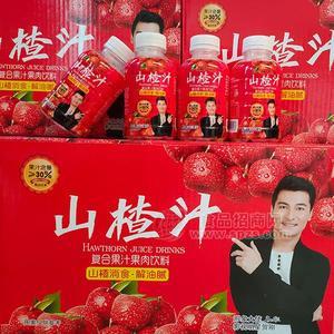 山楂汁 復(fù)合果汁飲料 瓶裝