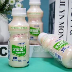 蕓纖美滋 原味乳酸菌飲品風(fēng)味乳飲料新品招商340ml