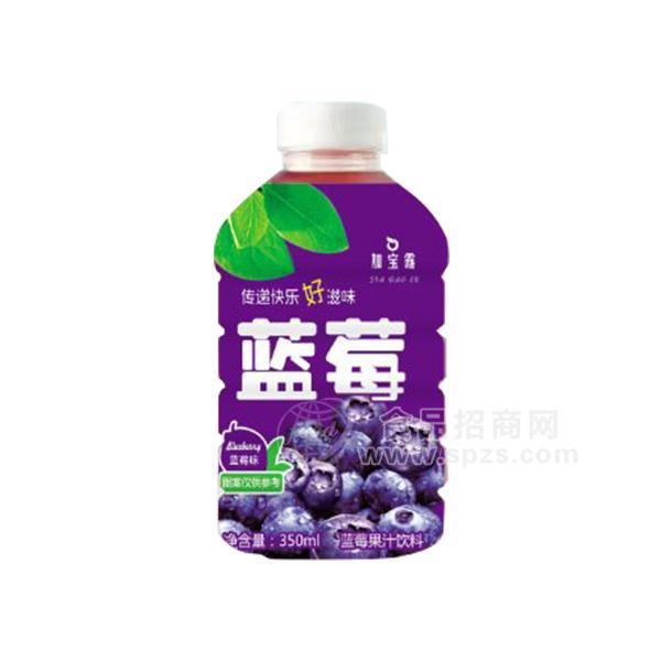 ·加宝露 蓝莓果汁饮料 果味饮料招商350ml 