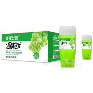 青春益族  葡萄味芦荟汁饮料 果汁饮料 430mlx15瓶
