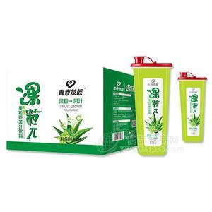 青春益族 方壺果粒蘆薈汁飲料  果汁飲料 1LX6瓶